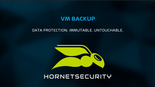 4 Ways That VM Backup by Hornetsecurity Keeps You Safe From Threat Actors