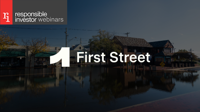 Building Climate Resilient Portfolios