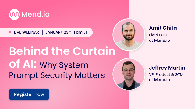 Behind the Curtain of AI: Why System Prompt Security Matters