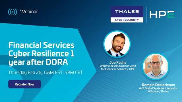 Financial Services Cyber Resilience 1 year after DORA