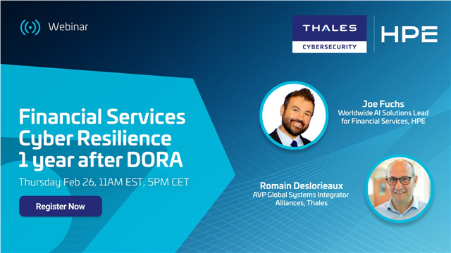 Financial Services Cyber Resilience 1 year after DORA